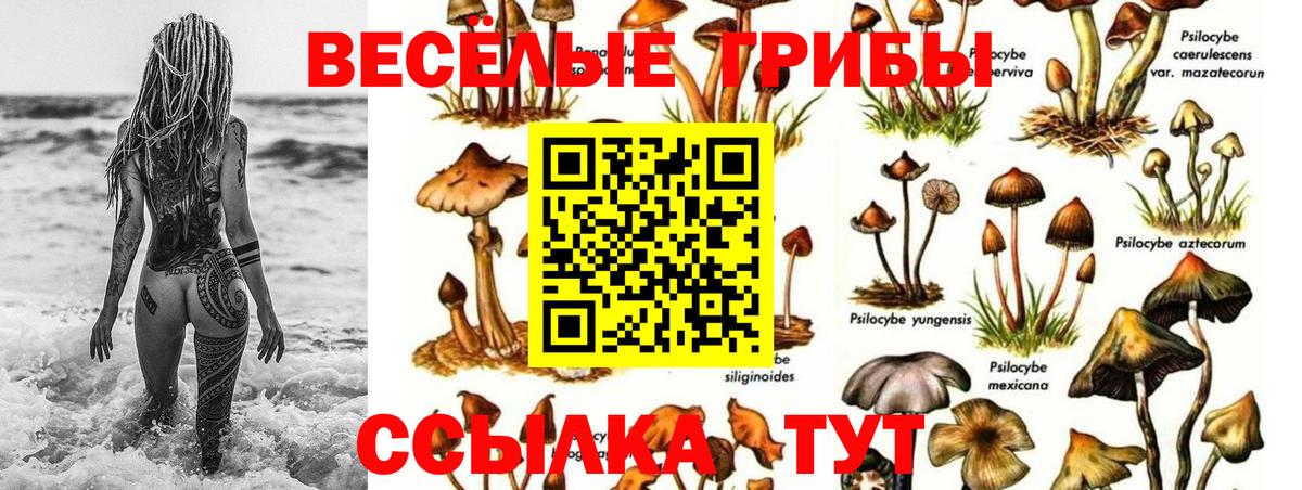 Галлюциногенные грибы GOLDEN TEACHER Орехово-Зуево