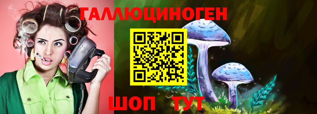 Орехово-Зуево  Псилоцибиновые грибы Psilocybine cubensis  Вход с VPN 